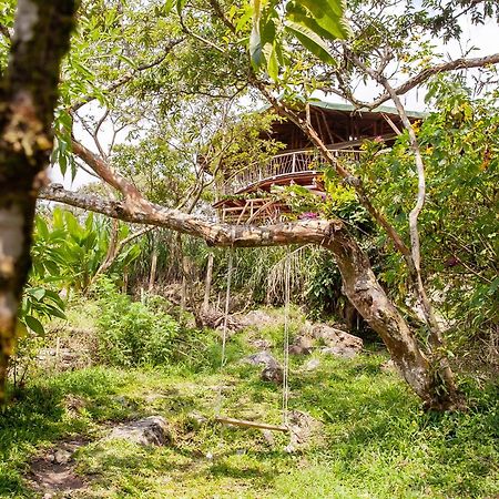 Ecofinca Fuente Alegre Cocorná Exterior foto
